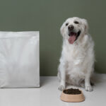 Fragile package dog Food A acclimatized Approach to Canine Nutrition